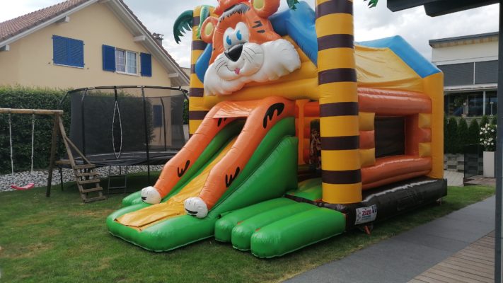 Location Château Gonflable Tigre 🐯🎉