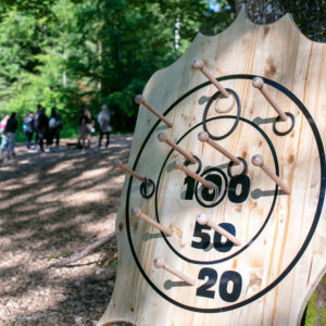 Jeu Blason Cible en bois avec anneaux