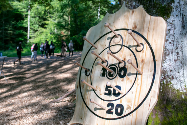 Jeu Blason Cible en bois avec anneaux